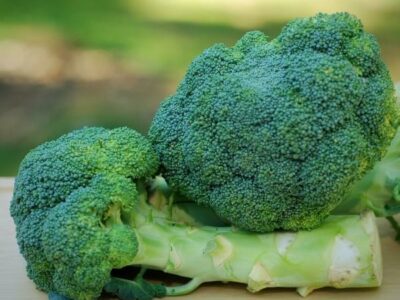 Recipe for Broccoli Stems: Ideas to Reduce Food Waste