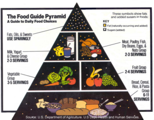 Old USDA Food Pyramid