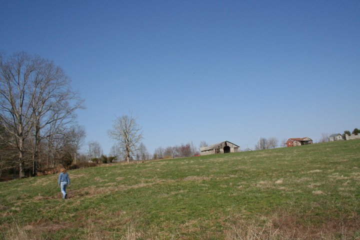 hill behind our home