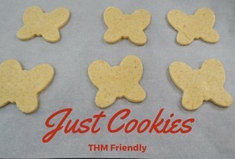 Just Cookies Gluten Free Healthy Recipe 4