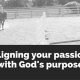 Aligning your Passion with God's Purpose 2