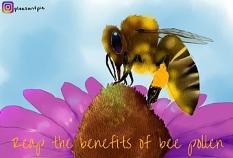 Reap the Benefits of this Superfood: Bee Pollen 1