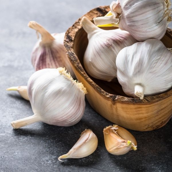 Garlic Benefits Plus Recipes 1