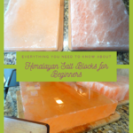 Himalayan Salt Blocks for Beginners 24