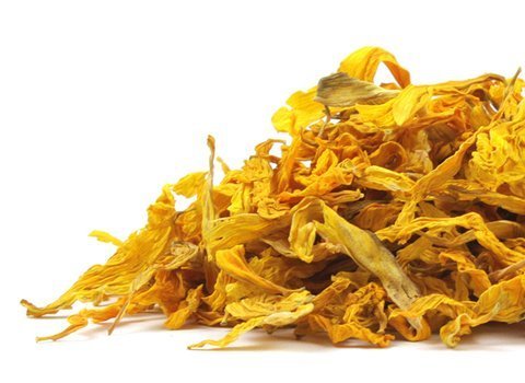 sunflower_petals_21871-product_1x-1438969540