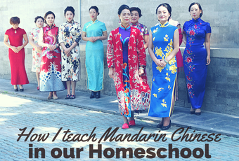 How to enjoy teaching Mandarin Chinese as a fun homeschool subject 2