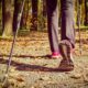 What Are The Benefits of Walking