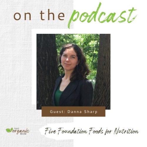 Five Foundation Foods for Nutrition with Danna - Episode 12 of A Healthy Bite 1