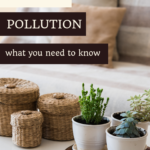 The shocking truth you need to know about indoor air quality 1