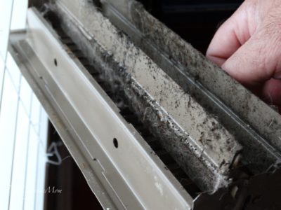 Mold Remediation Steps to remove mold from our home 1