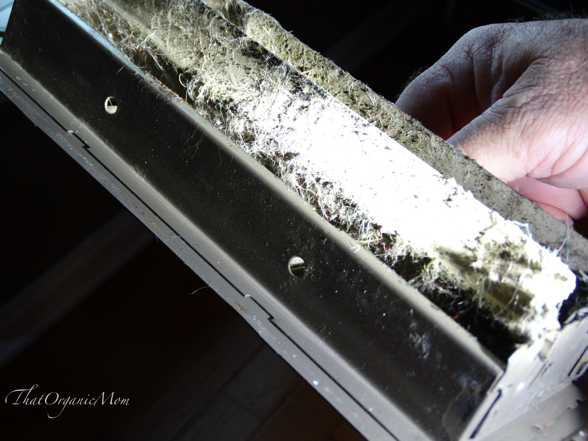 Mold Remediation Steps to remove mold from our home