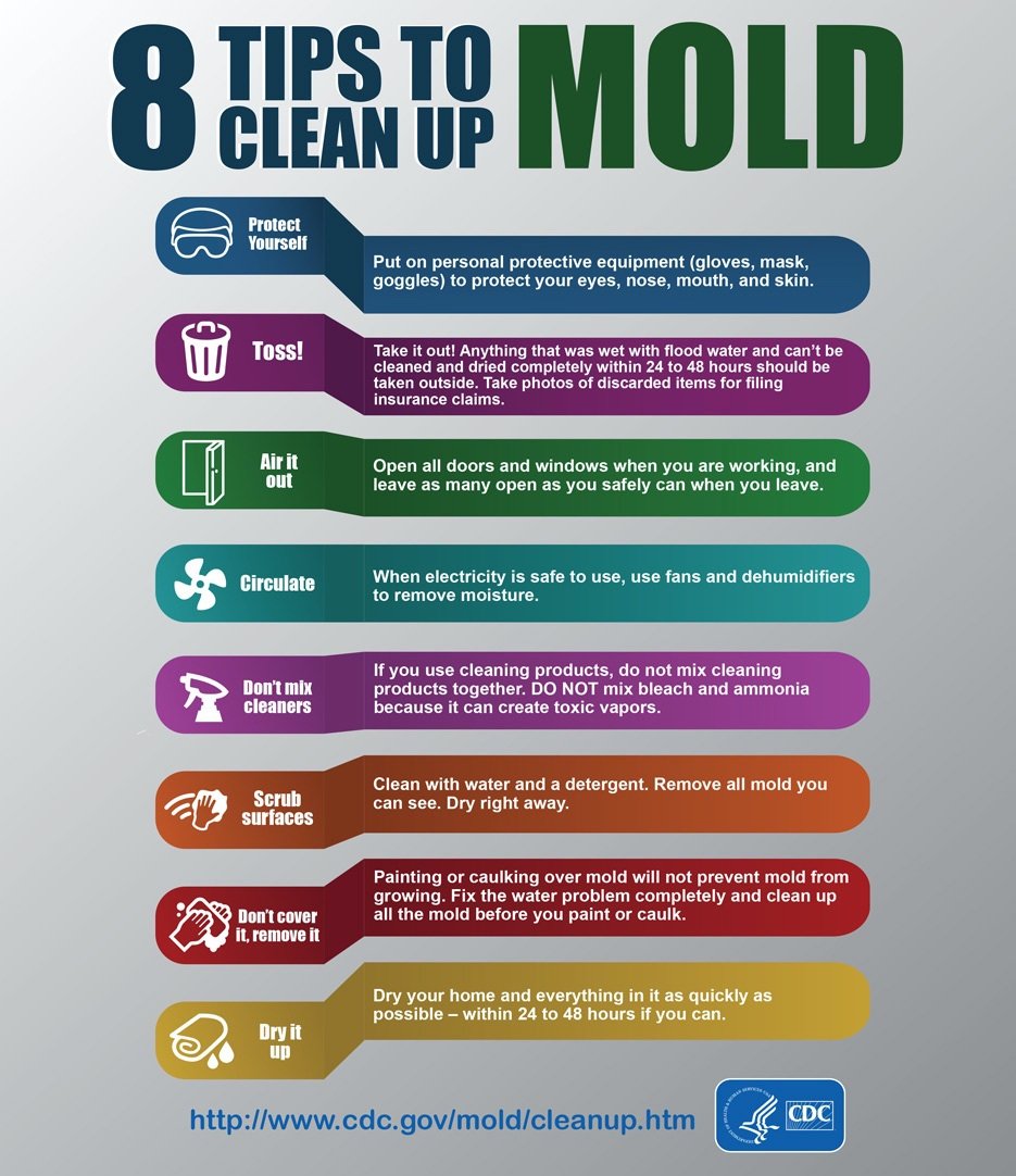 CDC 8 Tips to Clean Up Mold