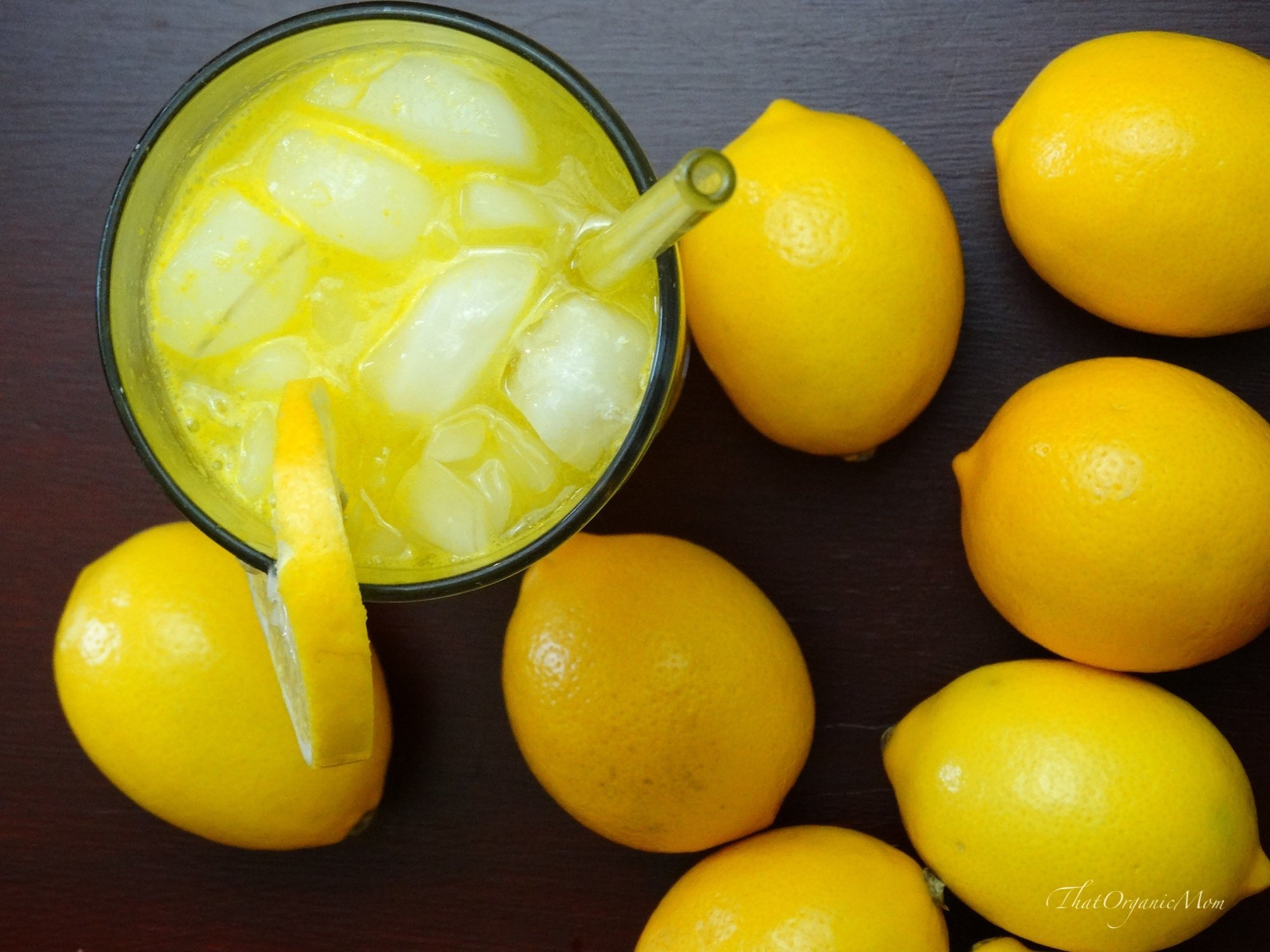 Protocol for treating Lyme Disease and Mold Toxicity