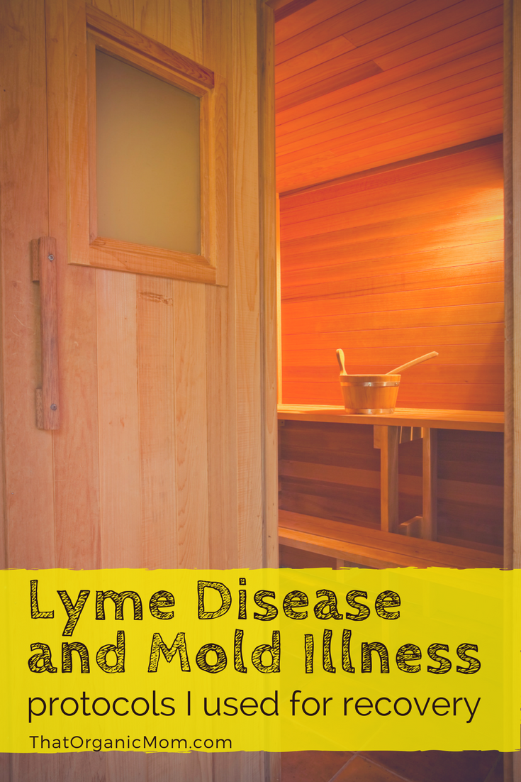 Protocols for treating Lyme Disease and Mold Illness