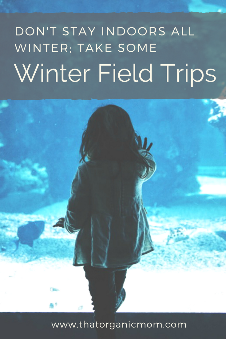 Winter Field Trips for Homeschoolers (and everyone else!)