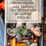 How Medicinal Mushrooms are taking the nutrition world by storm 10