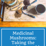 How Medicinal Mushrooms are taking the nutrition world by storm 8