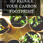 4 Simple Ways to Reduce Your Carbon Footprint 3