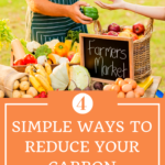 4 Simple Ways to Reduce Your Carbon Footprint 4