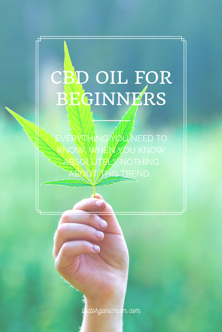 Beginner's Guide to CBD oil