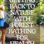 Forest Bathing 4