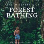 Forest Bathing 3