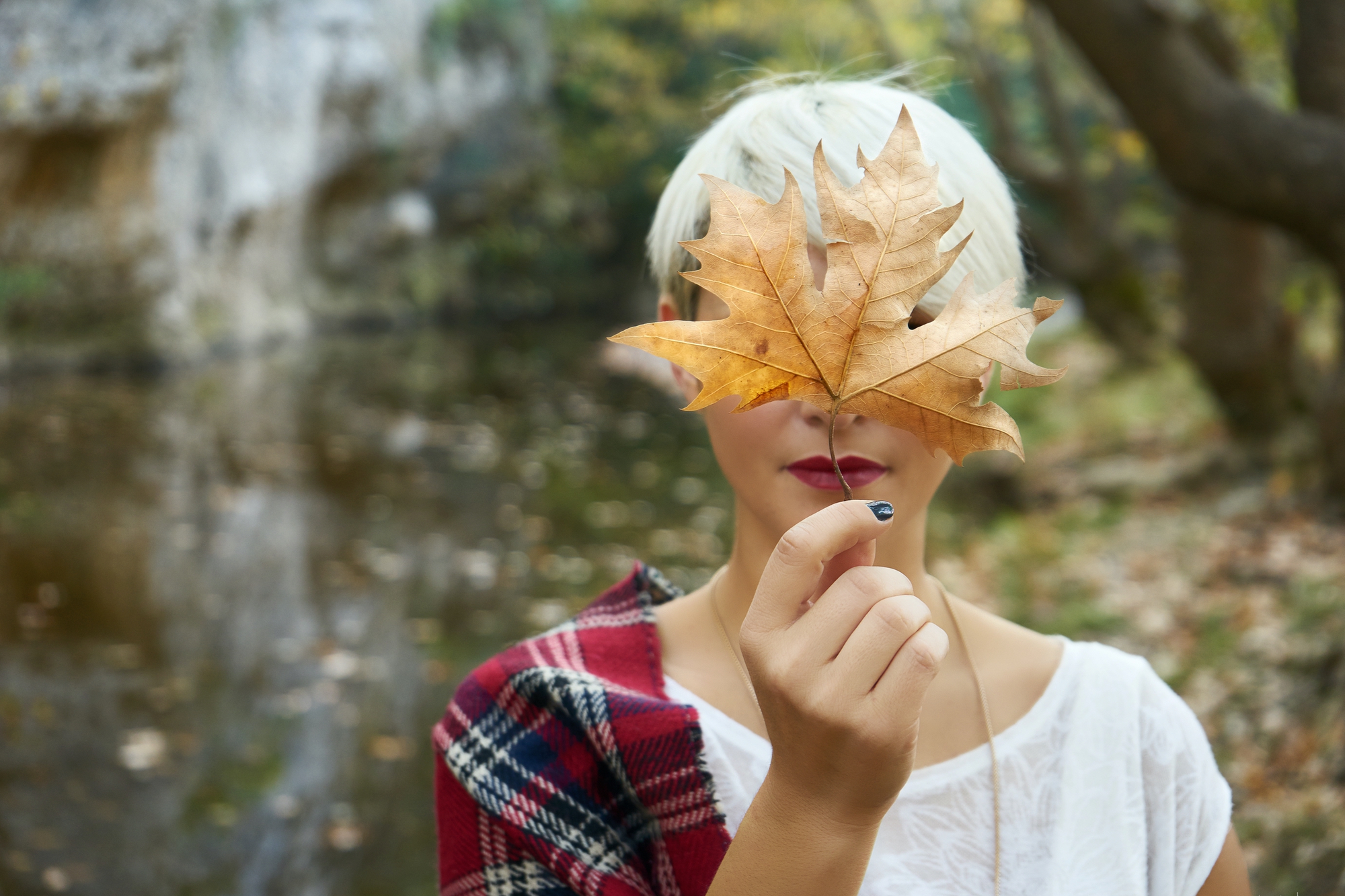 Forest Bathing - A natural prescription for the stressed out, overwhelmed, and anxious