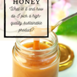 How to use Mānuka Honey with all the many benefits it offers 3