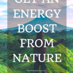 Nature for energy