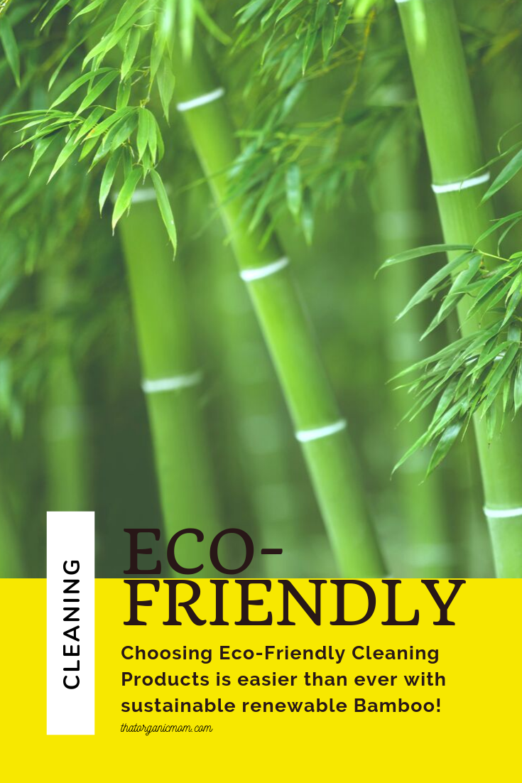 Choosing Eco-Friendly Cleaning Products