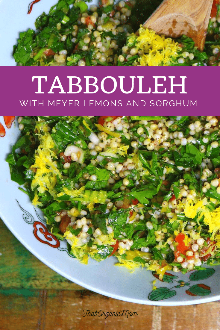 Tantalizing Tabbouleh with a Lemony Twist - low carb option