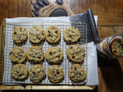 Keto and THM Friendly low carb chocolate chip cookies!