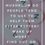 Explore the Power of Mushrooms and Supercharge Your Life 6