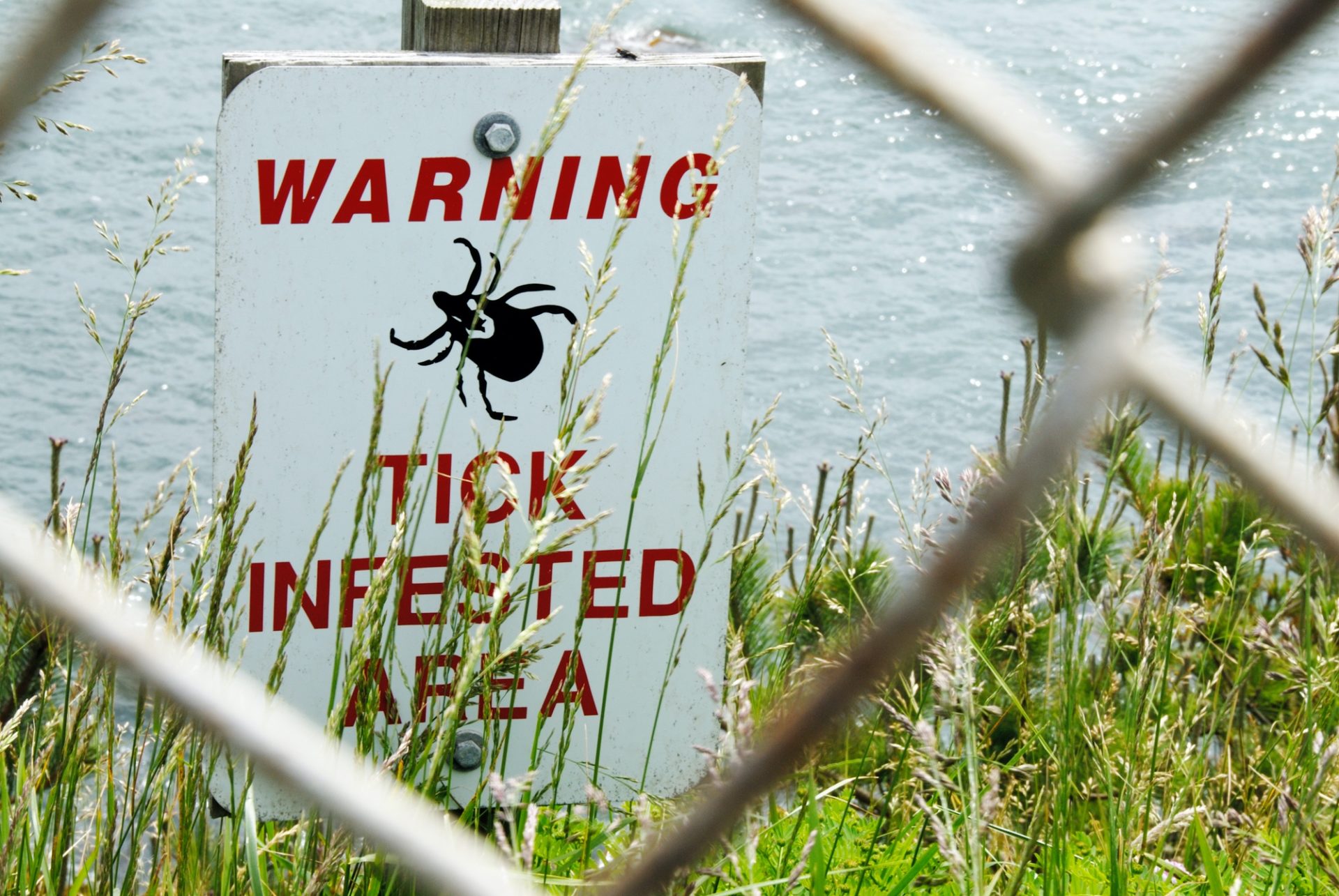 Lyme Disease and Other Tick Borne Illnesses - Q&A with Dr. Sean Beckmann 3