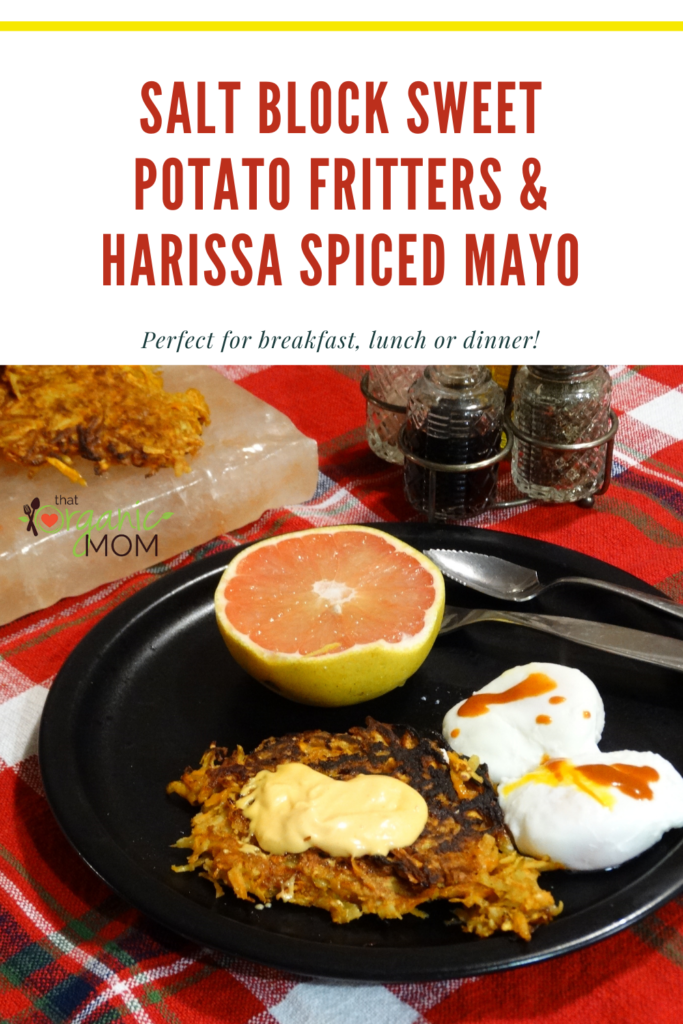 Salt Block Sweet Potato Fritters with Harissa Spiced Mayo 3