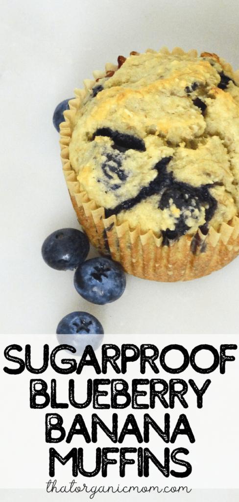 Sweeteners for Baking (and a recipe for Sugarproof Blueberry Banana Muffins) 6
