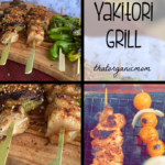 Yakitori Grill at Home for the Beginner 12