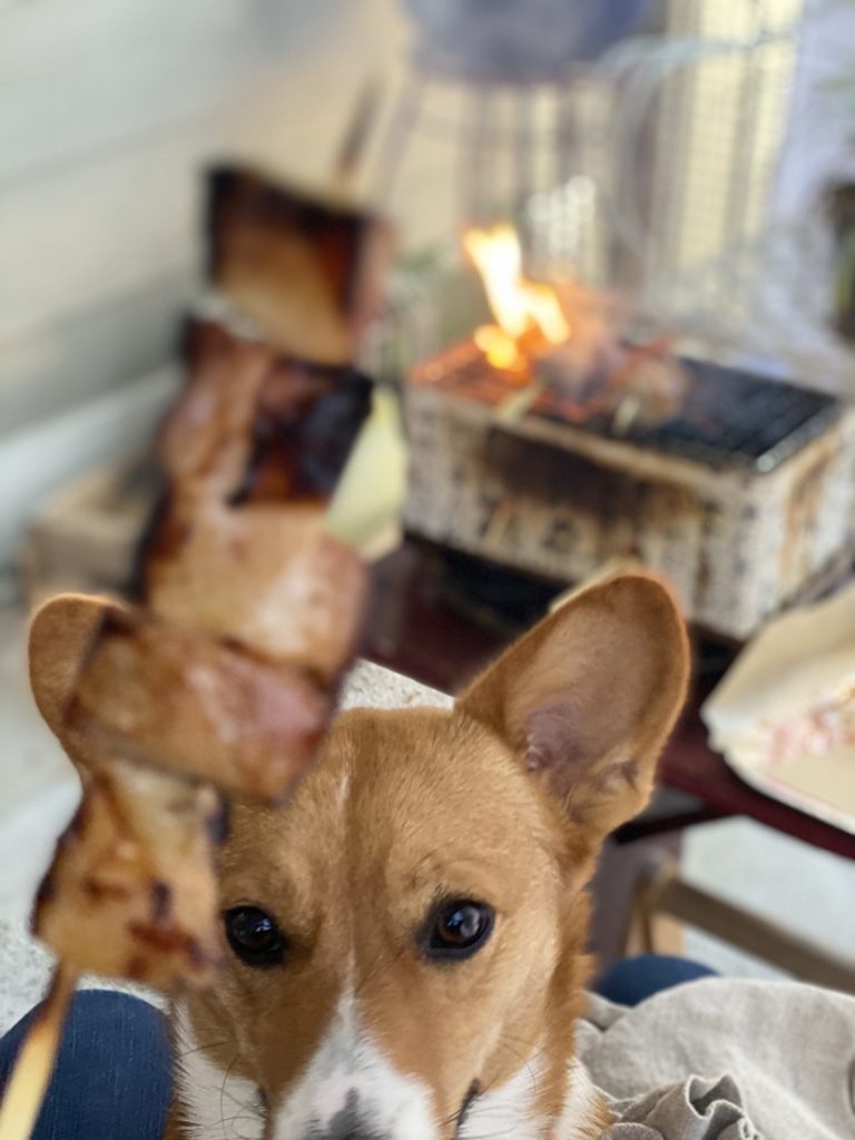 Yakitori Grill at Home for the Beginner 6