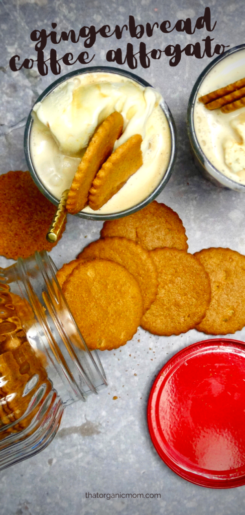 Gingerbread Coffee Affogato with Triple Ginger Cookie Thins