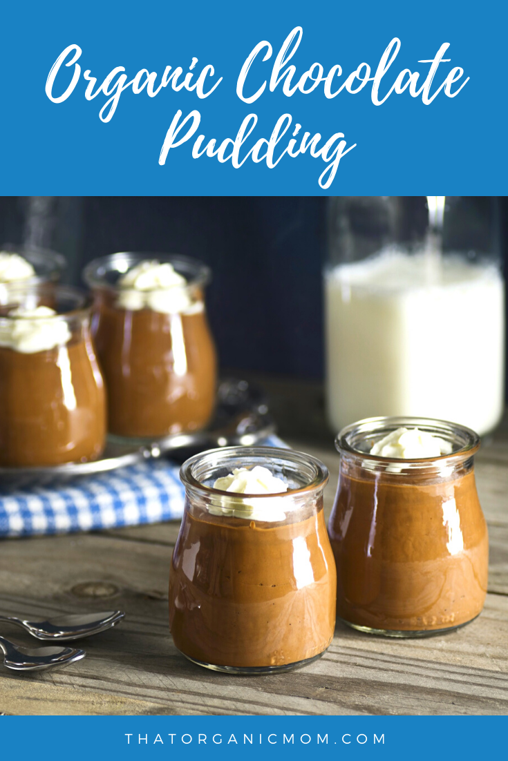 Simple Organic Chocolate Pudding Recipe