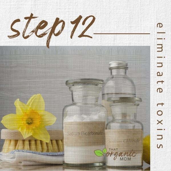 Step 12 - Eliminate Toxins