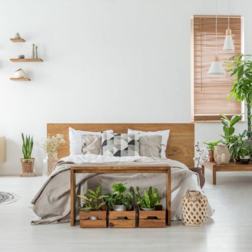 Create a Bedroom Oasis for Better Sleep 1