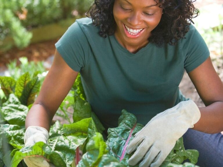 Is Yard Work Good Exercise?