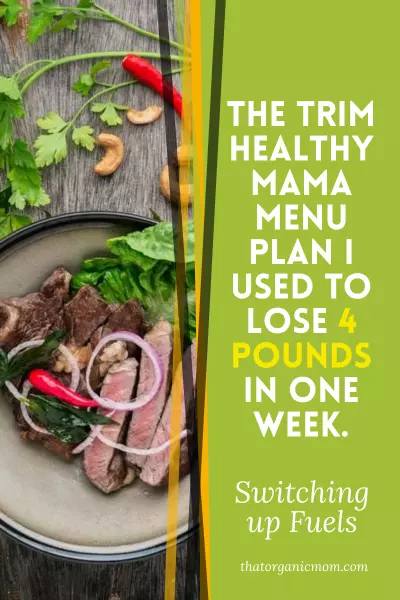 Menu Plan for Weight Loss 9