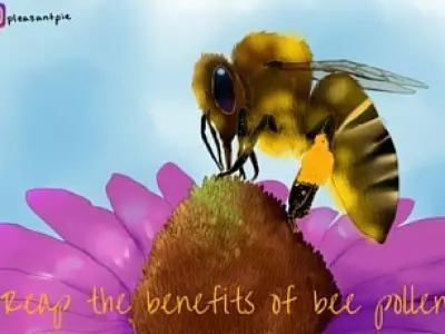 Reap the Benefits of this Superfood: Bee Pollen 1