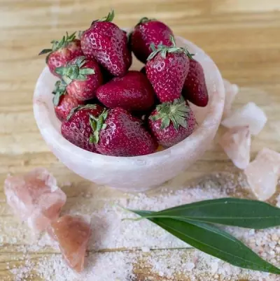 Himalayan Salt Blocks for Beginners 29