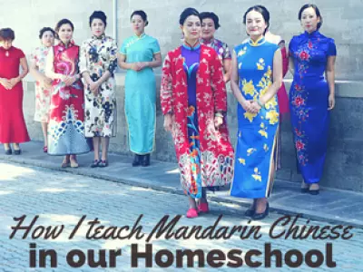 How to enjoy teaching Mandarin Chinese as a fun homeschool subject 2