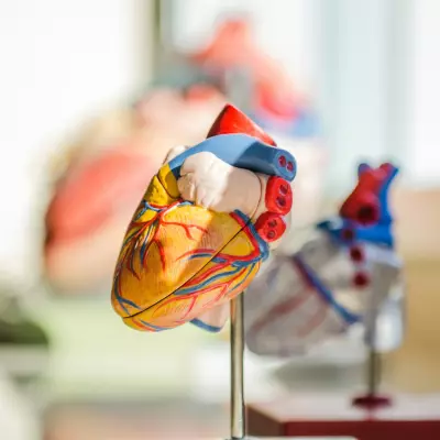 Iron Deficiency Anemia and Chest Pain - My Journey 2