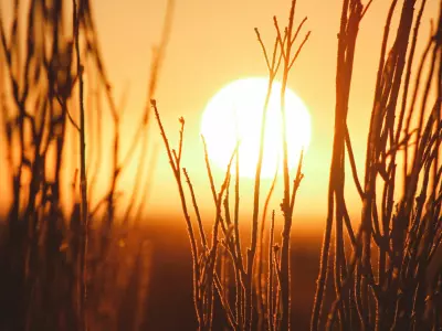 How to know when depression is really vitamin d deficiency 1