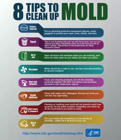 CDC 8 Tips to Clean Up Mold